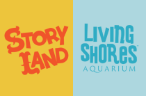 Ticket Sized Images - 26 Black Friday Sale