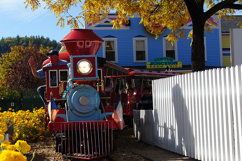 Train in Fall