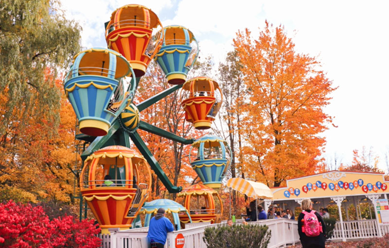 Great Balloon Chase with Fall foliage