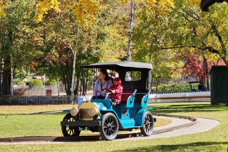 Antique Cars in Fall