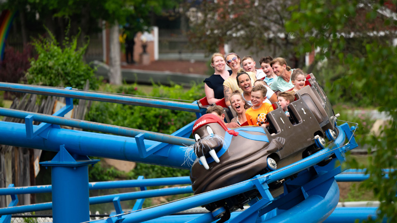 Guests enjoying the park